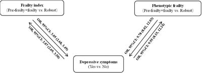 Bidirectional Longitudinal Study of Frailty and Depressive Symptoms Among Older Chinese Adults